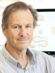 Emeritus Professor Richard Lewis