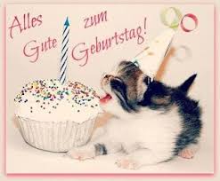 Geburtstagswunsche Fur Ihre Haustiere Katze Alles Gute Geburtstag Katzen Geburtstag Geburtstagsbilder