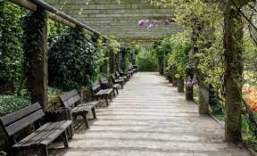 Botanischer garten solingen poppelsdorfer schloss bonn aktuelle 2020 lohnt es sich from botanischer garten solingen fenster reviewed by richard on saturday, june 8th, 2019. Botanischer Garten Solingen Einnahmen Brechen Weg