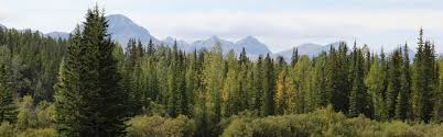 See reviews and photos of parks, gardens & other nature attractions in alberta, canada on tripadvisor. Albertaparks Ca Alberta Parks