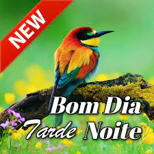 How to greet people in the afternoon in numerous languages with recordings for some of them. Portuguese Good Morning Afternoon Good Night Wishes Love Amazon De Apps Fur Android