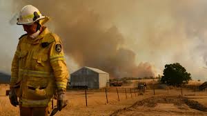 It's a summer australia will remember for all the wrong reasons, when eighteen million hectares the black summer blazes left communities devastated and triggered a national debate about the impact. Bushfire Royal Commission Black Summer Not Just A Once Off