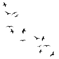 Small Birds Flying Away Tattoo Popular And Trending Freetoedit Stickers On Picsart Flying Bird Tattoo Bird Silhouette Tattoos Birds Flying Away