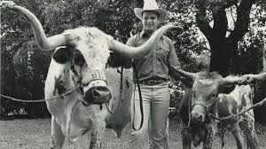 Cattle follow them around feeding on the cacti, mostly of the prickly pear variety. The Truth About Bevo Texas Exes