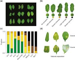 For example, predatory mites are used to control nematicides control nematodes (roundworms). Natural Variation In Insect Egg Induced Cell Death Uncovers A Role For L Type Lectin Receptor Kinase I 1 In Arabidopsis Biorxiv