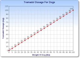 tramadol for dogs what you need to know