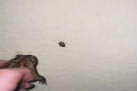 Funpot.net has an estimated worth of 103,757 usd. 0rvu 8qti1vusm