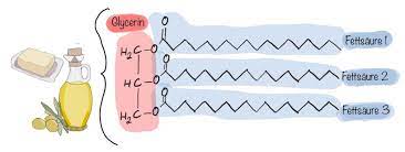 Triglyceride Definition Normwerte Folgen Und Behandlung Zu Hoher Werte