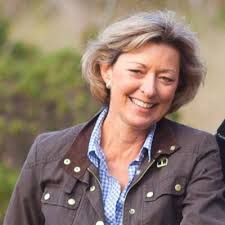 Coastside Venture Studio