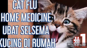 Ada tips sederhana cara merawat kucing agar mereka bisa menjadi hewan peliharaan yang baik dirumah. Cara Merawat Kucing Flu Selsema Youtube