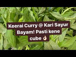 Salah satu senyawa alergenik yang dominan adalah oksalat (oxalate). Indian Keerai Curry Kari Sayur Bayam Indian Style Youtube