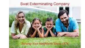 Clearwater do it yourself pest control store learn from the best. Pest Control Clearwater Swat Exterminating Company A Bbb Rating