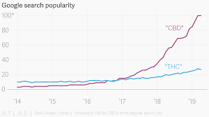 google search popularity