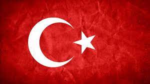 ne mutlu turkum diyene sanat bayrak resim