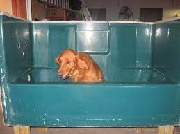 You can watch a lot of funny videos about animals, pets, cats, dogs, kids, babies, fails and so on. Building A Custom Elevated Dog Bathtub My Bday Present Project Pet Grooming Tub Dog Tub Dog Bath