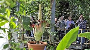 Hinweise auf sonderveranstaltungen, bei denen bereiche des botanischen gartens nur gegen gebühr zugänglich sind, finden sie in unserer terminübersicht. Botanischer Garten Der Uni Kiel Zeigt Grun Aus Aller Welt Ndr De Ratgeber Reise Kieler Forde