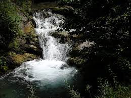 Primaria comunei ocna de fier. Izvor De ApÄƒ Cu Argint È™i Aur Coloidal In CaraÈ™ Severin Stirile Cs