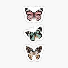 Show me pictures of beautiful butterflies. Beautiful Butterfly Stickers Redbubble