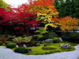 秋の泉涌寺庭園 japanese garden landscape japanese garden japanese garden design