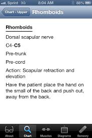 Pain in the abdomen is the single most important symptom of an acute abdominal pathologic process. Nerve Whiz App Helps Users Learn And Assess Their Nerve Anatomy Knowledge