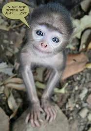 Definitely And I Ll I Actually Be Able To Keep Up With You Haha D So Cute Cute Baby Monkey Cute Animals Animals