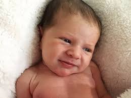 A collection of beautiful Tasmanian babies from 2019