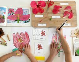 Shevonne On Instagram Studying And Dissecting The Parts Of A Hibiscus Flower With Spring Here We Are Start Blooming Flowers Hibiscus Parts Of A Flower