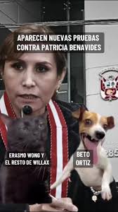 Como Se Ve Una Prueba Positiva De Benavides