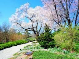 How much is the bronx botanical garden. Botanische Garten In New York Newyorkcity De