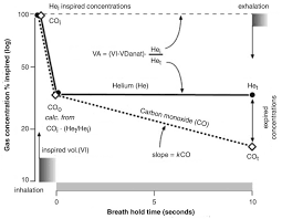 Image result for Diffusing Capacity