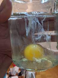 You can read the egg. Egg Cleanse Reading Etsy