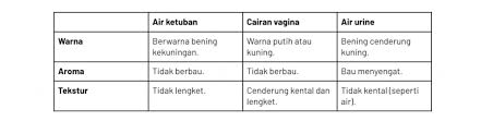 Ketuban pecah sebelum waktunya munculnya cairan yang ditandai dengan berwarna kekuningan, berbau amis dan ketika muncul rasa. Cairan Ketuban Rembes Ini Ciri Cirinya Sehati Kehamilanku