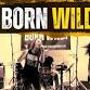 Born Wild at The Brewers Arms Brightlingsea event image