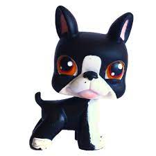They are also affectionate and the perfect family pet. Littlest Pet Shop Portable Pets Boston Terrier 63 Pet Lps Merch