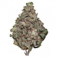 Bulk buy bho cartridges online from chinese suppliers on dhgate.com. Illinois Cannabis Archives Dispensary 33