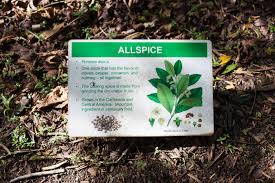 The ho?omaluhia botanical garden garden was established in 1982, and designed and built by the united states army corps of engineers for flood protection. Energize Yourself At The Ho Omaluhia Gardens Active Oahu