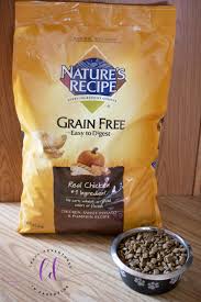 recipe grain free dog food at walmart