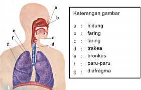 We did not find results for: Lengkap Kunci Jawaban Kelas 5 Tema 2 Subtema 1 Pembelajaran 2 Simple News Kunci Jawaban Lengkap Terbaru