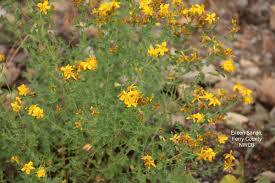 Maybe you would like to learn more about one of these? Washington State Noxious Weed Control Board