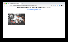 Tutorial Bootstrap 4 8 Menampilkan Gambar Dengan Bootstrap 4 Malas Ngoding