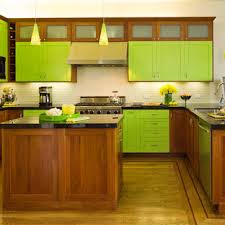 lime green kitchen houzz