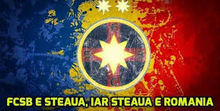 Image result for romania ros-albastra