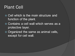 We did not find results for: Fahad Al Thani 7c Animal Cell Enclosed By A Plasma Membrane Contains A Membrane Bound Nucleus And Organelles Unlike The Cells Of Plants And Fungi Ppt Download