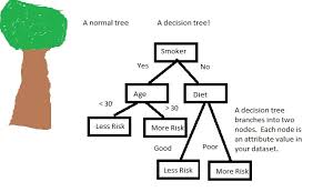 Hasil gambar untuk decision tree