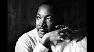 Anne K. Sheehy (@annesheehy)