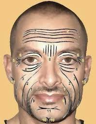 Sandra Laux (sandramflaux)