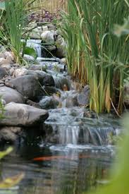 Epingle Sur Idees De Jardin