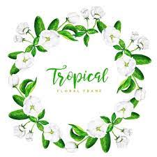 Watercolor Tropical Floral Frame Background Color Floral Flowers Png And Vector With Transparent Background For Free Download Floral Floral Background Watercolor Flower Background