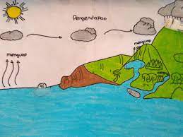 Gambar di atas menunjukkan tentang siklus air. Gambar Sederhana Siswa Kelas V Tentang Siklus Air Gurune Net