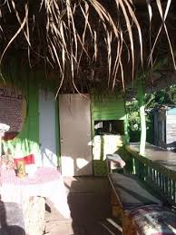 Wooden shutters swing open to reveal miami house by brillhart architecture. School Of Vision Guest House Hotel Reviews Newcastle Jamaica Tripadvisor